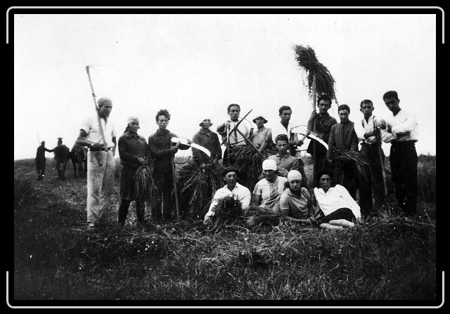 Click for the original image