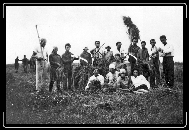 Click for the original image