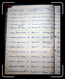 E_2575 * 2304 x 2874 * (2.63MB)