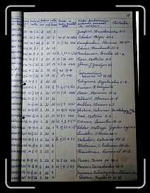 E_2596 * 2260 x 3006 * (2.55MB)