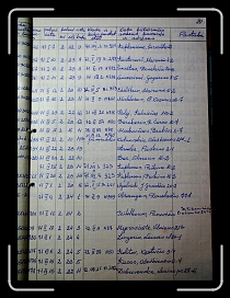 E_2600 * 2226 x 2987 * (2.45MB)