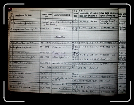 E_2658 * 2763 x 2076 * (2.32MB)