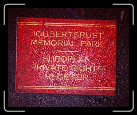 P-01 * 1770 x 1458 * (1.76MB)