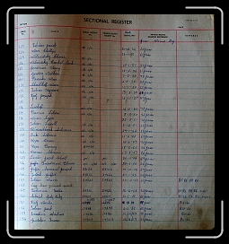 P-08 * 1947 x 2092 * (1.63MB)