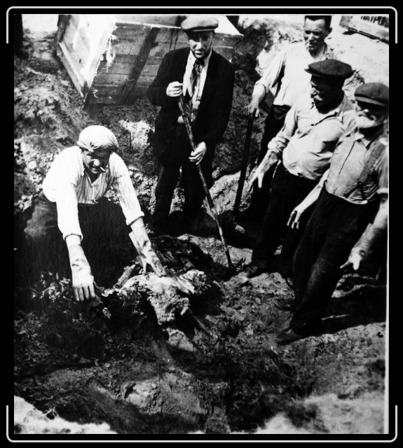 Click for the original image